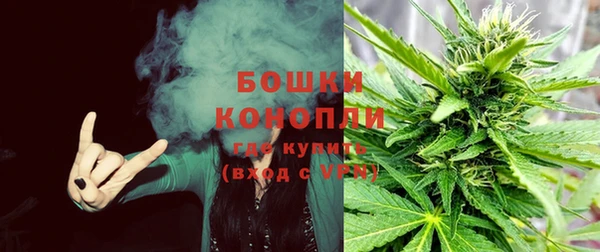 apvp Белокуриха