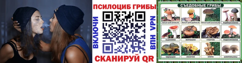 Галлюциногенные грибы прущие грибы  Шагонар 